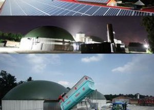 В Минской области построят ферму на солнечных батареях